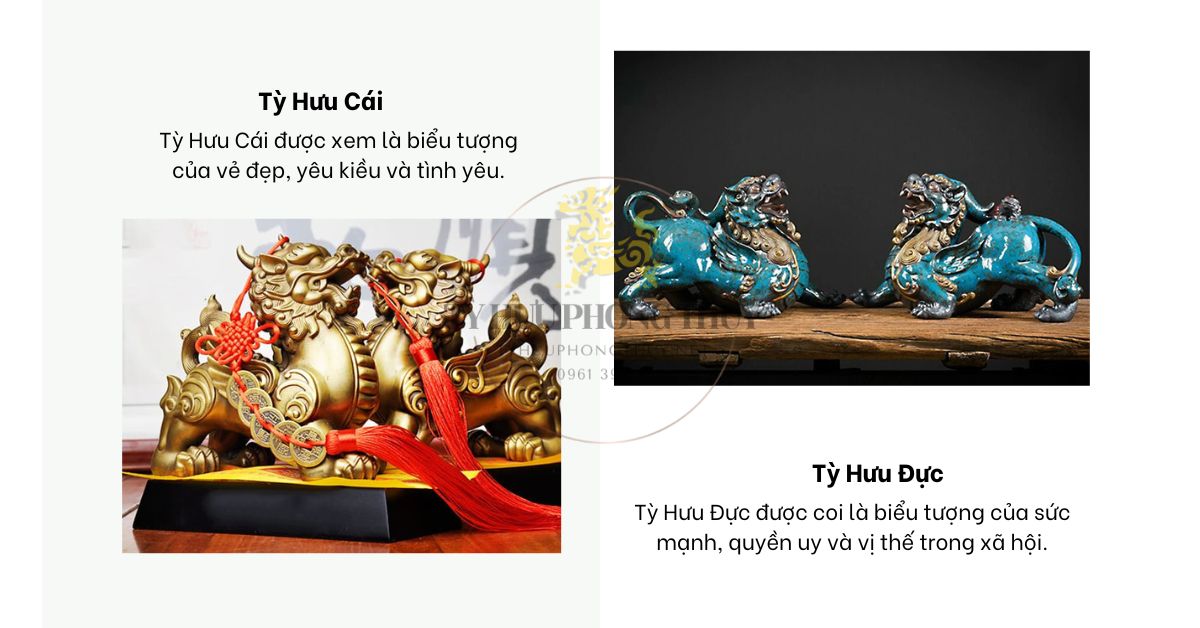 Ý nghĩa Phong Thủy của Tỳ Hưu Đực và Cái